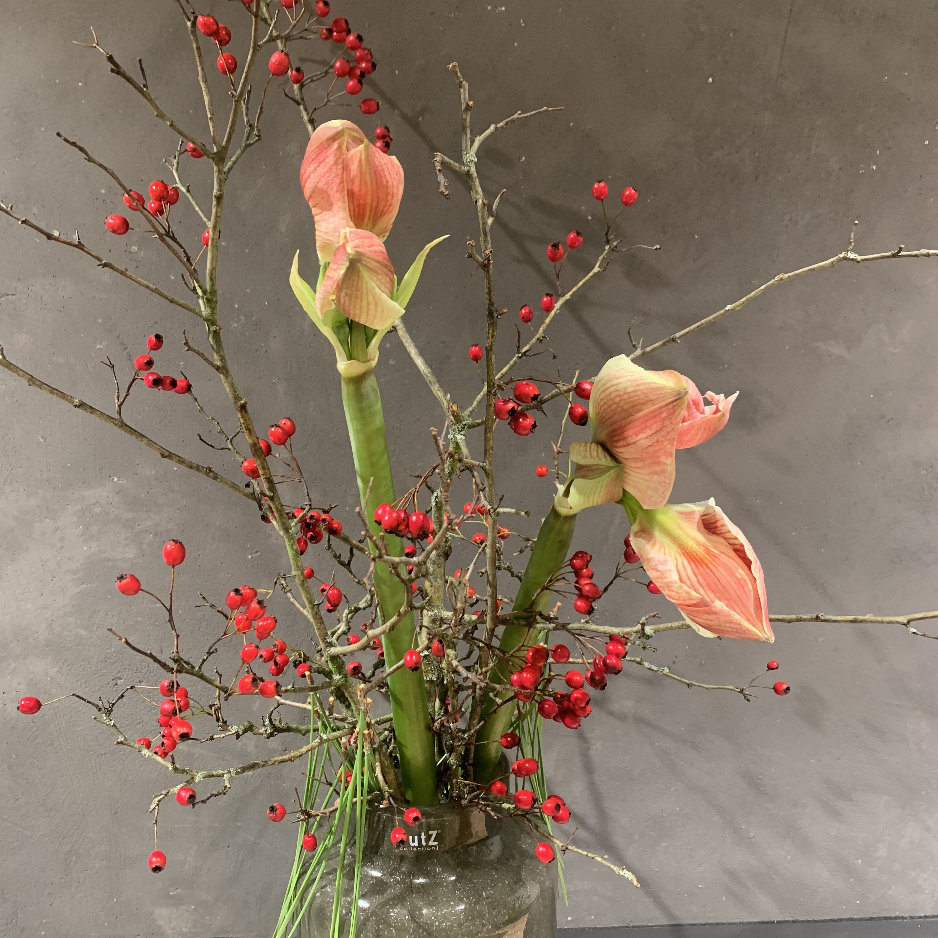 Arrangement mit Amaryllis in DutZ Vase 